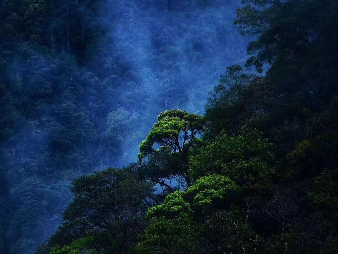 未知的岛屿