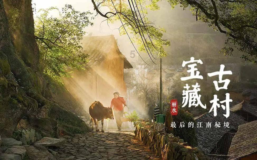燃烧吧大脑装瓶子游戏