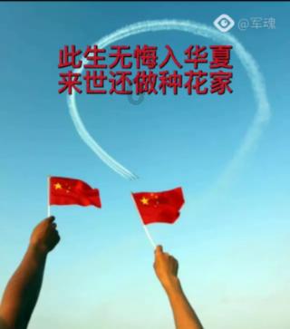 小企鹅逃生