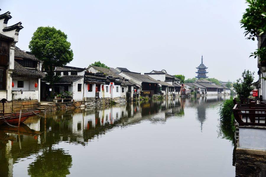 金刚鹦鹉逃生