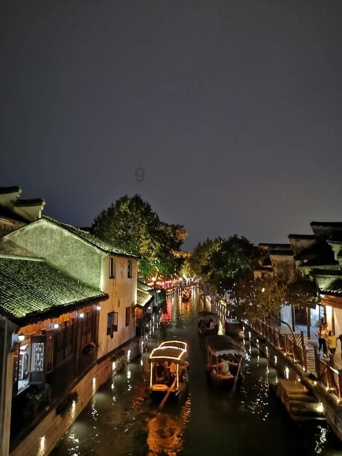 动物帮帮忙保卫家园