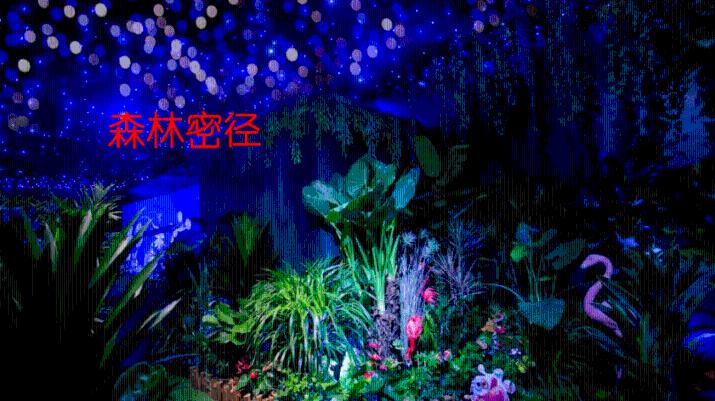 斜视男孩获武汉普瑞眼科医院天真无“斜”儿童眼病公益救助
